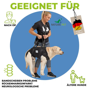 Ganzkörper Tragehilfe für Hunde - Produktbild 9