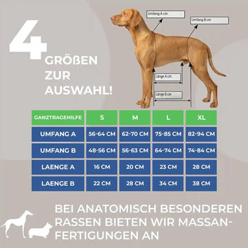 Ganzkörper Tragehilfe für Hunde - Produktbild 4