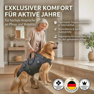 Ganzkörper Tragehilfe für Hunde - Produktbild 5