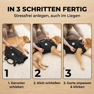 Ganzkörper Tragehilfe für Hunde - Produktbild 11