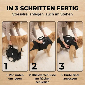 Ganzkörper Tragehilfe für Hunde - Produktbild 10