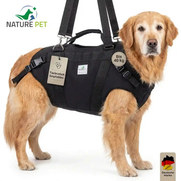 Ganzkörper Tragehilfe für Hunde - Produktbild 7