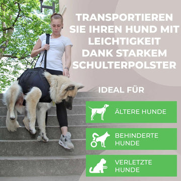 Ganzkörper Tragehilfe für Hunde - Produktbild 2
