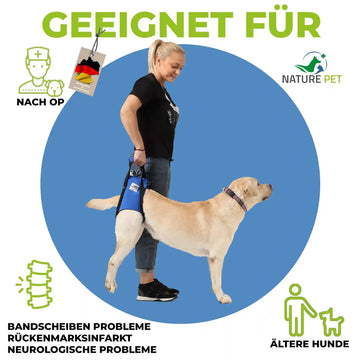 Hunde Tragehilfe hinten - Produktbild 2