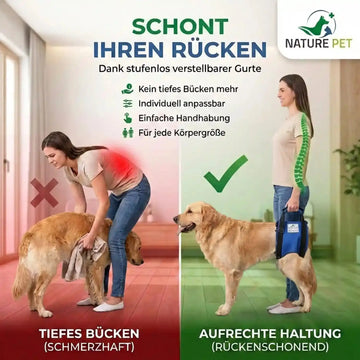 Hunde Tragehilfe hinten - Produktbild 3