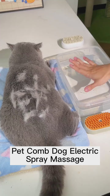 3-in-1 elektrische Fellpflegebürste mit Sprühfunktion für Katzen & Hunde