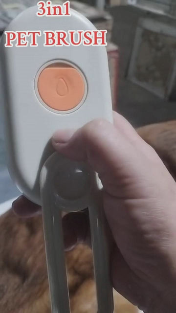 3-in-1 elektrische Fellpflegebürste mit Sprühfunktion für Katzen & Hunde