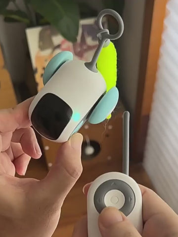 Interaktives Katzenauto mit Fernbedienung & Automatikmodus – USB-aufladbar