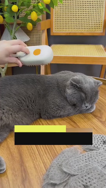 3-in-1 elektrische Fellpflegebürste mit Sprühfunktion für Katzen & Hunde