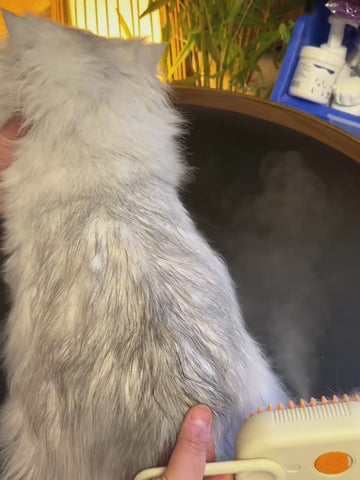 3-in-1 elektrische Fellpflegebürste mit Sprühfunktion für Katzen & Hunde