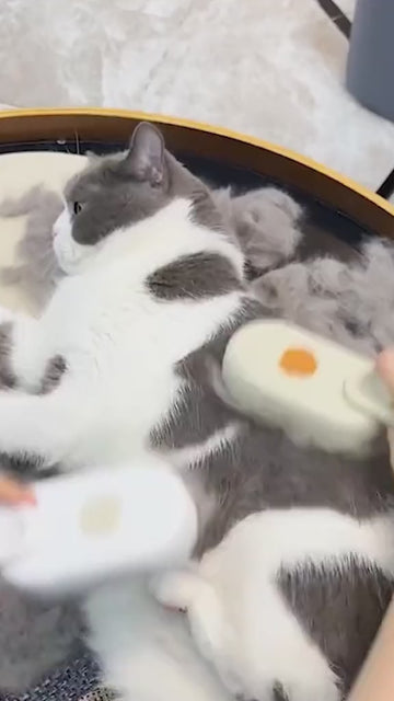 3-in-1 elektrische Fellpflegebürste mit Sprühfunktion für Katzen & Hunde