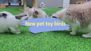 Interaktiver Flattervogel für Katzen – USB-aufladbar
